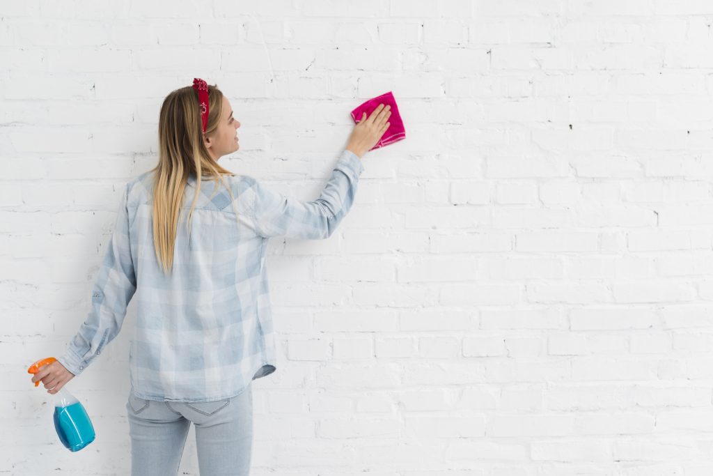 Cleaning Your Exterior Walls for Painting