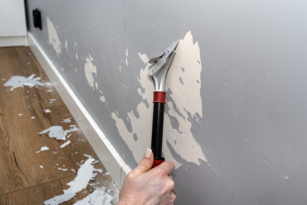 Preparing New vs. Existing Paint Surfaces